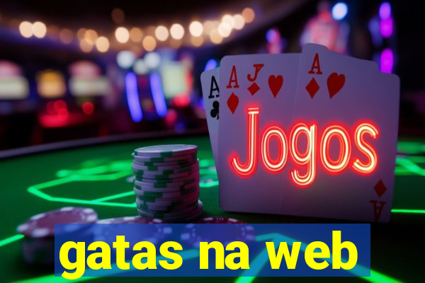 gatas na web